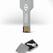 DATA KEY USB Flash memorija u obliku ključa